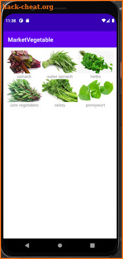 Market Vegetable screenshot