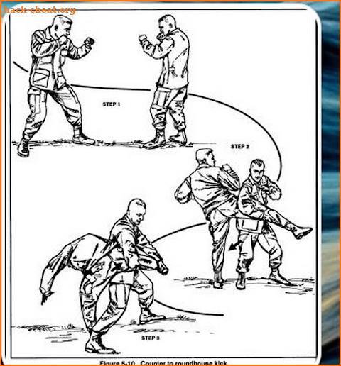 martial arts techniques screenshot