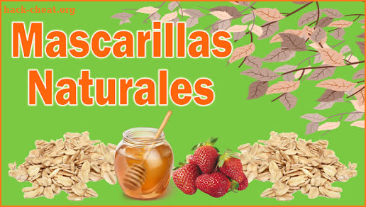 Mascarillas Naturales screenshot