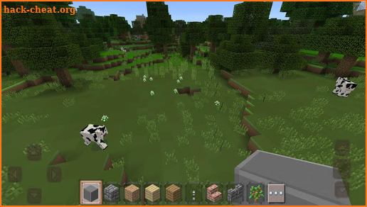 Master Craft New MultiCraft 2020 screenshot