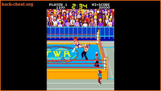 Mat Mania screenshot