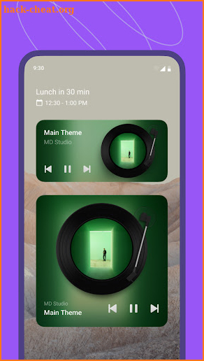 MD Vinyl - Music Widget screenshot