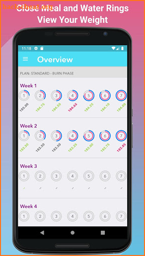 Meal Replacement Tracker screenshot