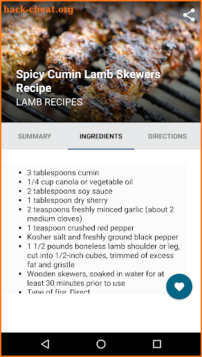 Meat Recipes - lamb, pork, turkey & other screenshot