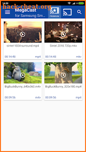 MegaCast Samsung Smart TV Pro screenshot