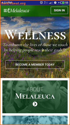 Melaleuca screenshot