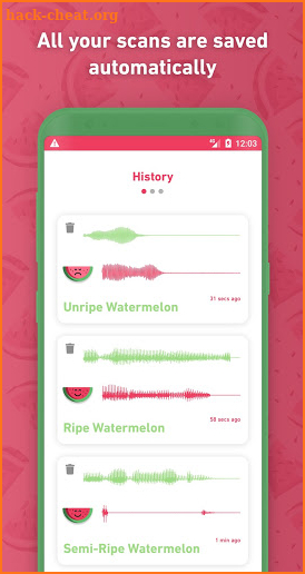 Melony: World First Watermelon Ripeness Detector screenshot