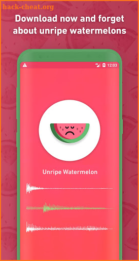 Melony: World First Watermelon Ripeness Detector screenshot