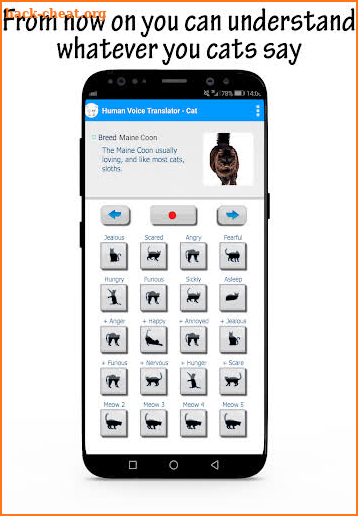 Meow Translator : Human to Cats screenshot