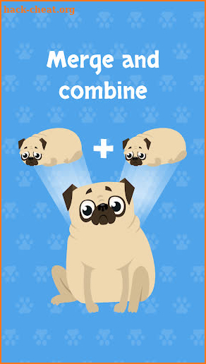 Merge Pugs Evolution screenshot