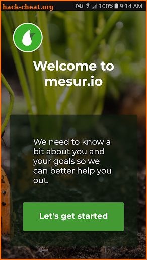 mesur.io screenshot