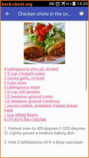 Mexican recipes with photo offline screenshot