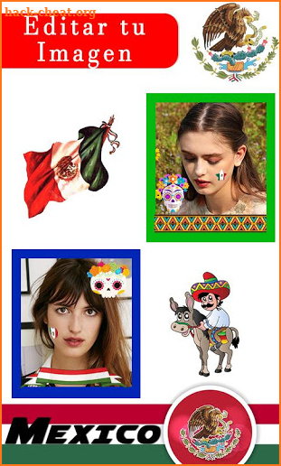 Mexico flag dp maker free screenshot