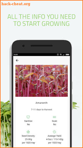 Microgreens Guide screenshot