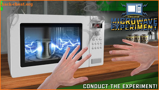 Microwave Experiment Simulator screenshot