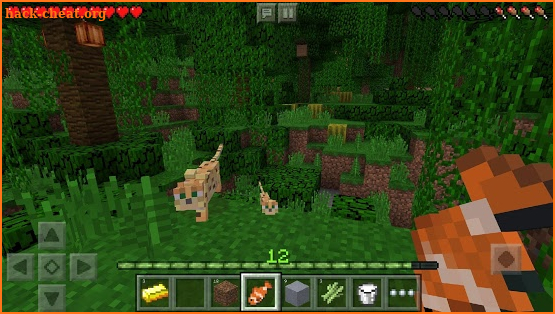 Minecraft screenshot