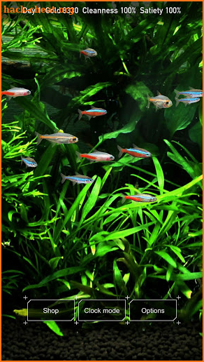 Mini Aqua: Tropical Fish Tank screenshot