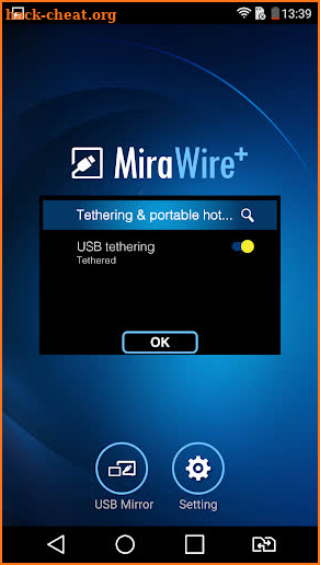 MiraWire screenshot