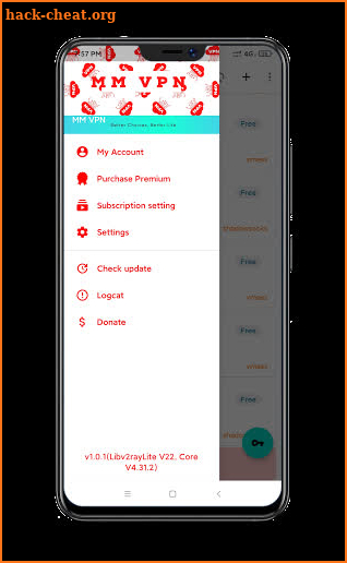 MM VPN screenshot