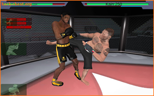 MMA vs Wrestling screenshot