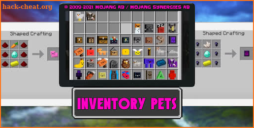 Mod inventory pets screenshot