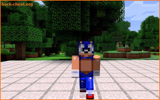 Mod The Hedgehog Dash For MCPE screenshot