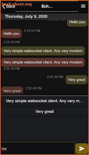 Modern Websocket Client screenshot