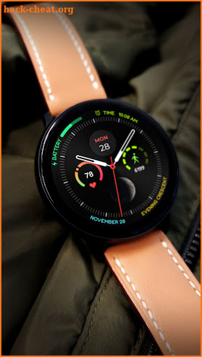 Moepaw Infograph Watch Face screenshot