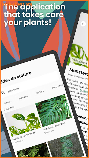 Monstera - Growing guides screenshot