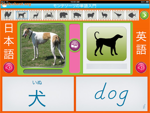 Montessori Vocabulary Animals - English & Japanese screenshot