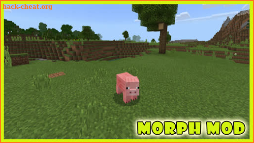 Morph Mod Minecraft screenshot