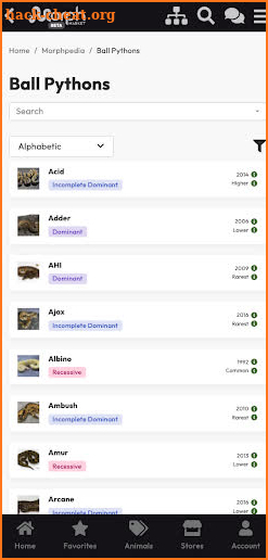 MorphMarket screenshot