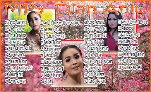 Mp3 Dian Anic screenshot