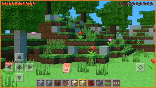 Multicraft screenshot