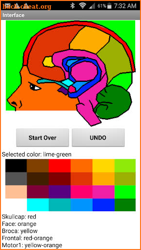 Mungadze Natural Brain Map screenshot