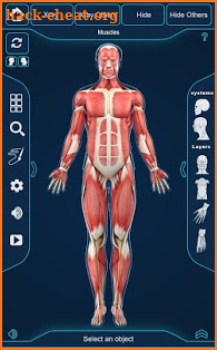 Muscle Anatomy Pro. screenshot