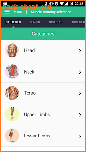 Muscle Anatomy Reference Guide screenshot