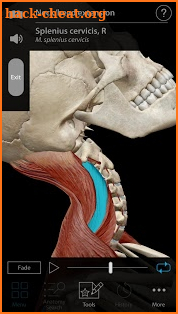 Muscle Premium - Human Anatomy, Kinesiology, Bones screenshot