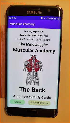 Muscular Anatomy Study Cards screenshot