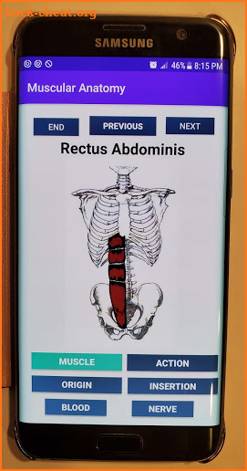 Muscular Anatomy Study Cards screenshot