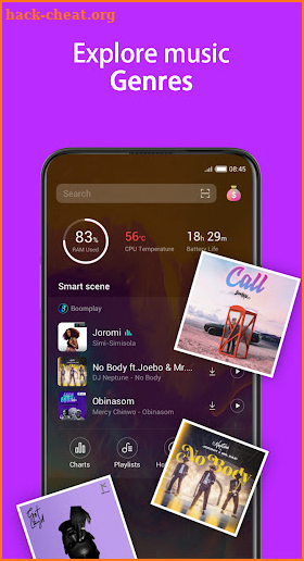 Muses Music Player screenshot