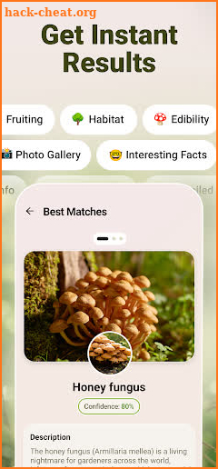 Mushroom ID - Fungi Identifier screenshot