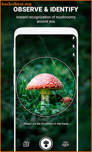 Mushroom identifier App by Photo, Camera 2019 screenshot