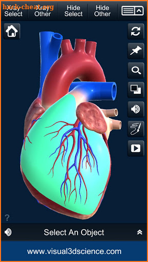 My Heart Anatomy screenshot