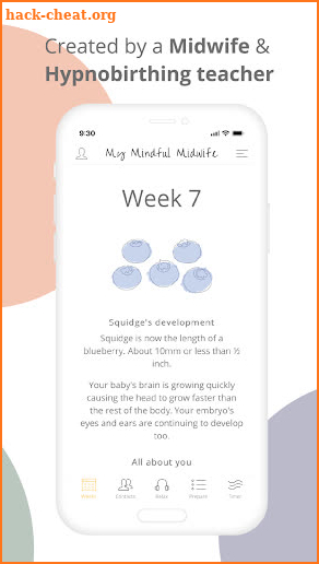 My Mindful Midwife screenshot