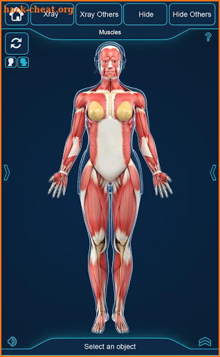 My Muscle Anatomy screenshot