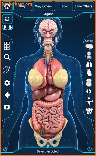 My Organs Anatomy screenshot