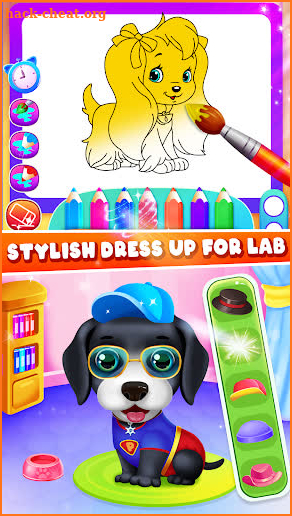 My pet Labrador dog care guide screenshot