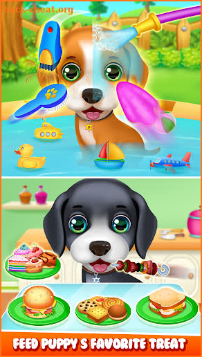 My pet Labrador dog care guide screenshot