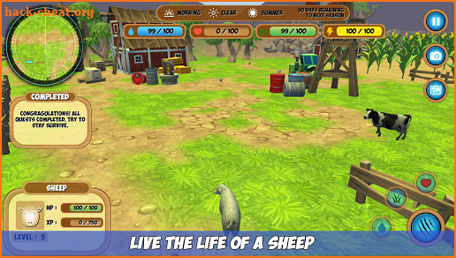 My Sheep Simulator screenshot